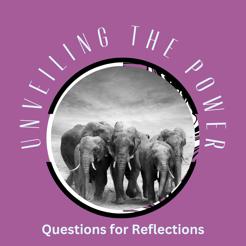 Powerful elephants; Questions for Reflection Unveil Power; find Black executive coach; best mindfulness coach near