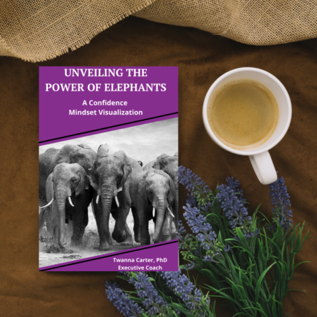Unveil the Power of Elephants - A Confidence Mindset Visualization; find African American mindfulness coach near; best African American executive coach; find stress management coach near